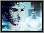 Matthew Fox, Zagubieni, Ian Somerhalder, Serial, Lost